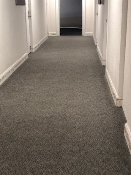 Elliott Hall carpet BEFORE